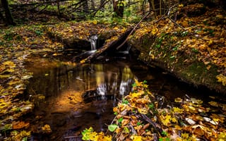 Картинка осень, природа, водопад, пейзаж, краски осени, лес, осенние листья, водоём