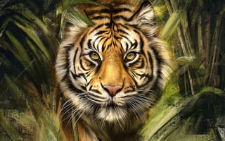 Картинка тигр, морда, большая кошка, art, взгляд, хищник, графика