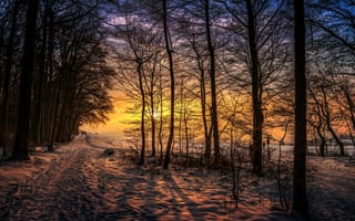 Картинка зимний рассвет, деревья, парк