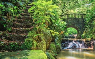 Картинка Хуашань-Крик Тропа, ступени, китай, водопад, мост, мох, пейзаж, растения