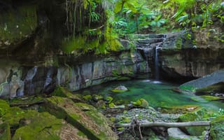 Картинка Австралия, природа, лес, пейзаж, камни, мох, водоём, водопад, скалы