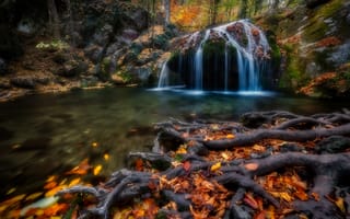 Картинка осень, корни, лес, водопад, деревья, опавшие листья, природа, осенние краски, пейзаж