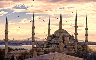 Картинка город, птицы, архитектуры, Стамбул, мечеть Султанахмет, Турция