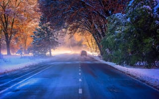 Картинка Туманное утро в национальном парке долины Йосемити, деревья, снег, дорога, пейзаж, осень, туман