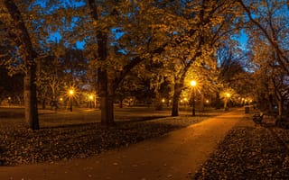 Картинка Rosalind Park, дорога, Australia, ночь, свет, фонари, лавочка, пейзаж, деревья, место отдыха, Bendigo