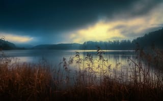 Картинка Turlersee, небо, озеро, растения, Switzerland, пейзаж, деревья, закат, природа