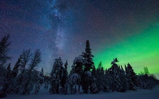 Картинка Юрки, зима, ночь, пейзаж, Млечный Путь, деревья, Северное сияние, Юлляс, Финляндия, природа, Лапландия