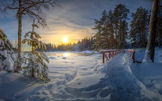 Картинка Юрки, Лангинкоски, деревья, зима, Финляндия, лес, тропинка, заход солнца, снег, пейзаж