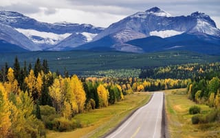 Картинка Cadomin, горы, лес, природа, краски осени, осень, дорога, деревья, пейзаж, Alberta