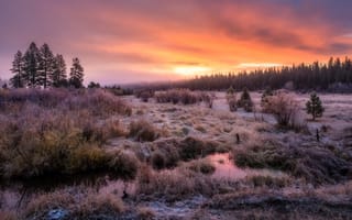 Картинка Рассвет над болотом Трейл-Крик, штат Айдахо, небо, пейзаж, деревья