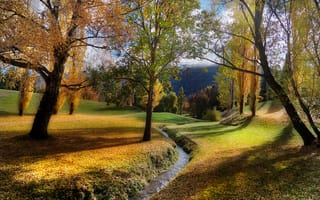Картинка Новая Зеландия, краски осени, ручей, речка, осень, пейзаж, деревья, природа