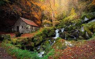 Картинка осень, природа, деревья, камни, пейзаж, лес, домик, водопад, косогор, мох
