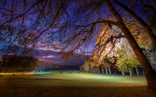 Картинка Франция, пейзаж, ночь, деревья, Рэтклифф, освещение, парк