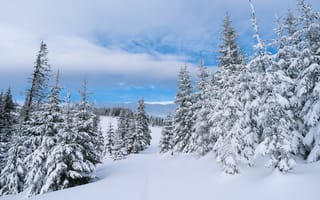 Обои зима, снег, пейзаж, сугробы, деревья, горы