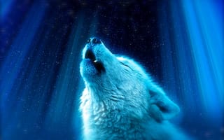 Картинка Белый Волк, вой, величественный, звезды