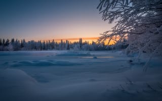 Обои Финляндия, зима, лес, сугробы, закат, деревья, снег, пейзаж