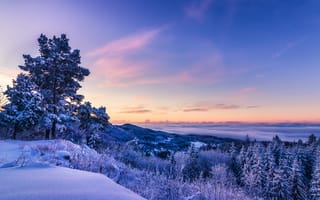 Картинка Kikut, природа, Skien, вид с верху, закат, снег, горы, зима, пейзаж, деревья, Norwegian
