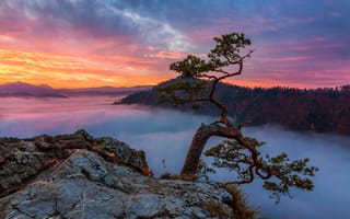 Картинка National Park Pieniny, Poland, закат, природа, облака, пейзаж, горы, сосны, скалы, небо