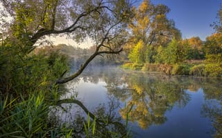 Картинка осень, природа, пейзаж, река, деревья