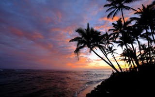 Картинка остров Оаху, пальмы, Гавайи, силуэты, море, закат, небо облака, пляж, океан, пейзаж