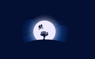 Картинка ночь, лунный свет, силуэт, дерево, разное