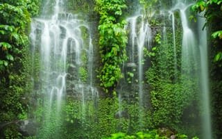 Картинка наскальный водопад, зеленый, растения, Индонезия, пейзаж
