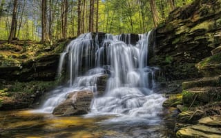 Картинка Ricketts Glen State Park, деревья, водопад, Риккетс Глен Стейт Парк, скалы, Pennsylvania, природа
