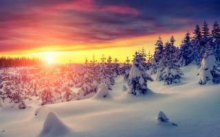 Картинка закат, снег, зима