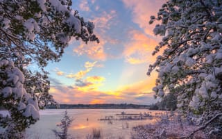 Картинка Стаффорд Фордж область управления дикой природой, деревья, природа, Нью-Джерси, озеро, закат, зима, пейзаж