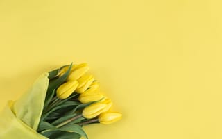 Картинка букет, тюльпаны, желтые
