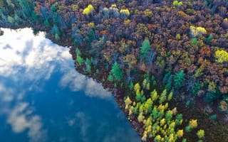 Картинка вода, Aerial, природа, лесной массив, отражение, деревья, река