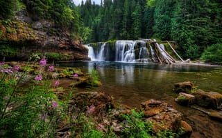 Картинка Lower Lewis Falls, цветы, пейзаж, водопад, камни, природа, лес, деревья, река