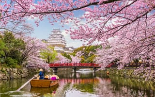 Картинка Япония, вода, бесплатные изображения, ветвь, канал, туризм, водный путь, банк, пруд, дерево, город, растение, цветы, отдых, цветок, пейзаж, река, весна, розовый, вишни