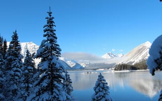 Картинка зима, озеро, снег на ветках, пейзажи, природа, снег на деревьях, снег, горы