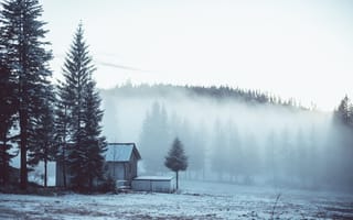 Картинка погода, зима, горы, утро, туман, замораживание, древесина, бесплатные изображения, пейзажи, горный хребет, природа, снег, лес, дерево, древесное растение, мороз, атмосферное явление