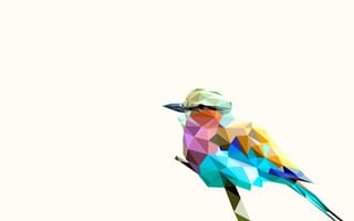 Картинка птица, радуга, художник, цифровое искусство, птицы