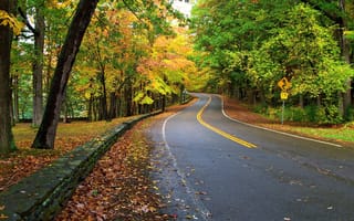 Картинка лес, опавшие листья, пейзажи, дорога, деревья, осень, дорожный знак, природа