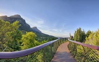 Картинка мост, солнечный свет, разное, южная африка, национальный ботанический сад кирстенбош, пейзажи
