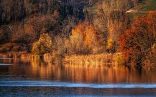 Картинка осень, падение, река, пейзаж, спокойствие, деревья