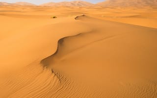 Картинка дюны, пустыня, холмы, растения, поле, следы, песок