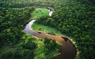 Картинка амазонка, амазония, панорама, лес, природа, пк, джунгли, вид-сверху, вода, 1920х1080, нейросеть, высота, изгиб, русло, рендеринг, аэросъемка, день, трава, берега, ИИ, сельва, тропики, блики, 4k, кинематографично, 16:9, солнце, путешествия, кроны, коптер
