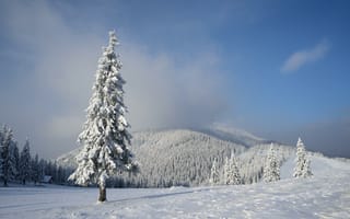 Картинка зима, сугробы, горы, пейзаж, снег, деревья