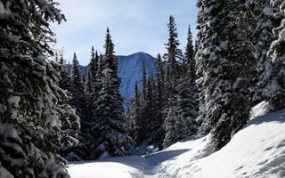 Картинка колорадо, зима, природа, небо, деревья, древесина, горы, пейзажи, снег