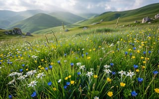 Картинка пейзаж, природа, альпийский луг, дикая природа, экология, Кавказ, зелень, растения, 4k, трава, склоны, горы, свежесть, для ПК, полевые цветы, флора, путешествия, солнце, рабочий стол, яркие краски, весна, холмы, дневной свет, туризм, эдельвейс, Альпы