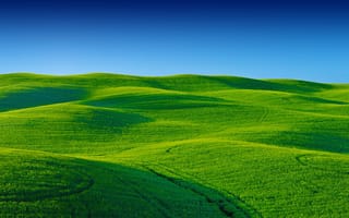 Обои зелёная местность, поле, небо
