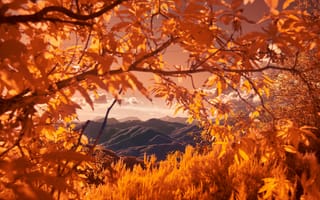 Картинка осень, ветви, горы, природа