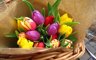 Картинка букет, тюльпаны, бумага, цветы, яркий