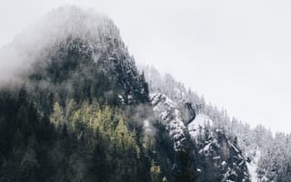 Картинка Альпы, природа, зима, растение, погода, туман, пейзажи, атмосферное явление, хребет, горы, саммит, утро, снег, горный хребет, лес, облако, дерево, древесное растение, ель, горные формы рельефа, геологическое явление