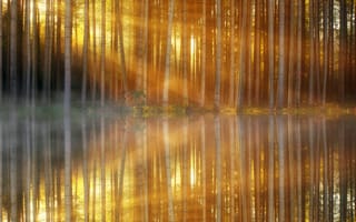 Картинка солнечный луч, озеро, деревья, природа, утро