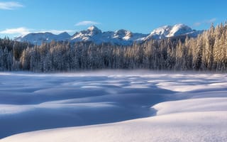 Картинка Словения, горы, Альпы, пейзаж, сугробы, снег, деревья, зима